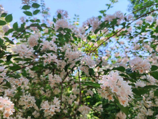 公園-圖片來(lái)源編輯網(wǎng)