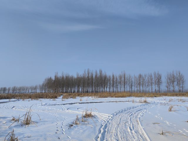 雪地-圖片來(lái)源編輯網(wǎng)